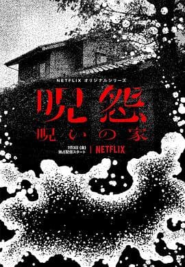 咒怨:诅咒之家海报