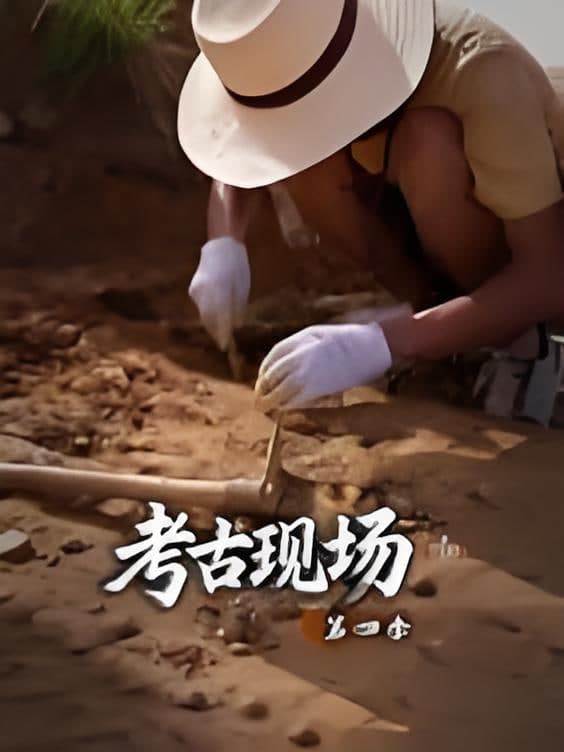 全世界中国味海报